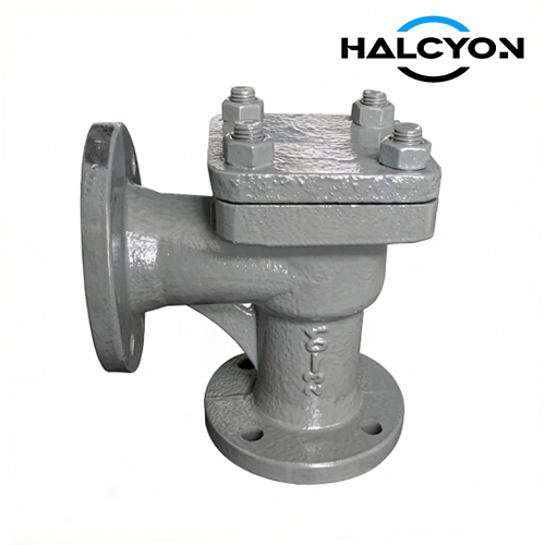 GB/T586 Marine Cast Steel Flanged Check Valve Type B/BS